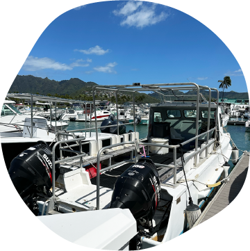 We provide a personalized experience with our privately owned charter boats.